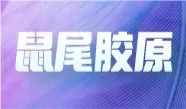 妙顺生物亮相中国毒理学会第九次全国青年科技大会并在现场分享报告！(图15)
