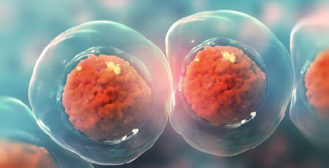 Developing potent anti-inflammatory IRAK4-targeting PROTACs with simplified CRBN ligands