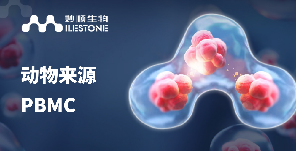 妙顺生物 | 动物来源PBMC上市