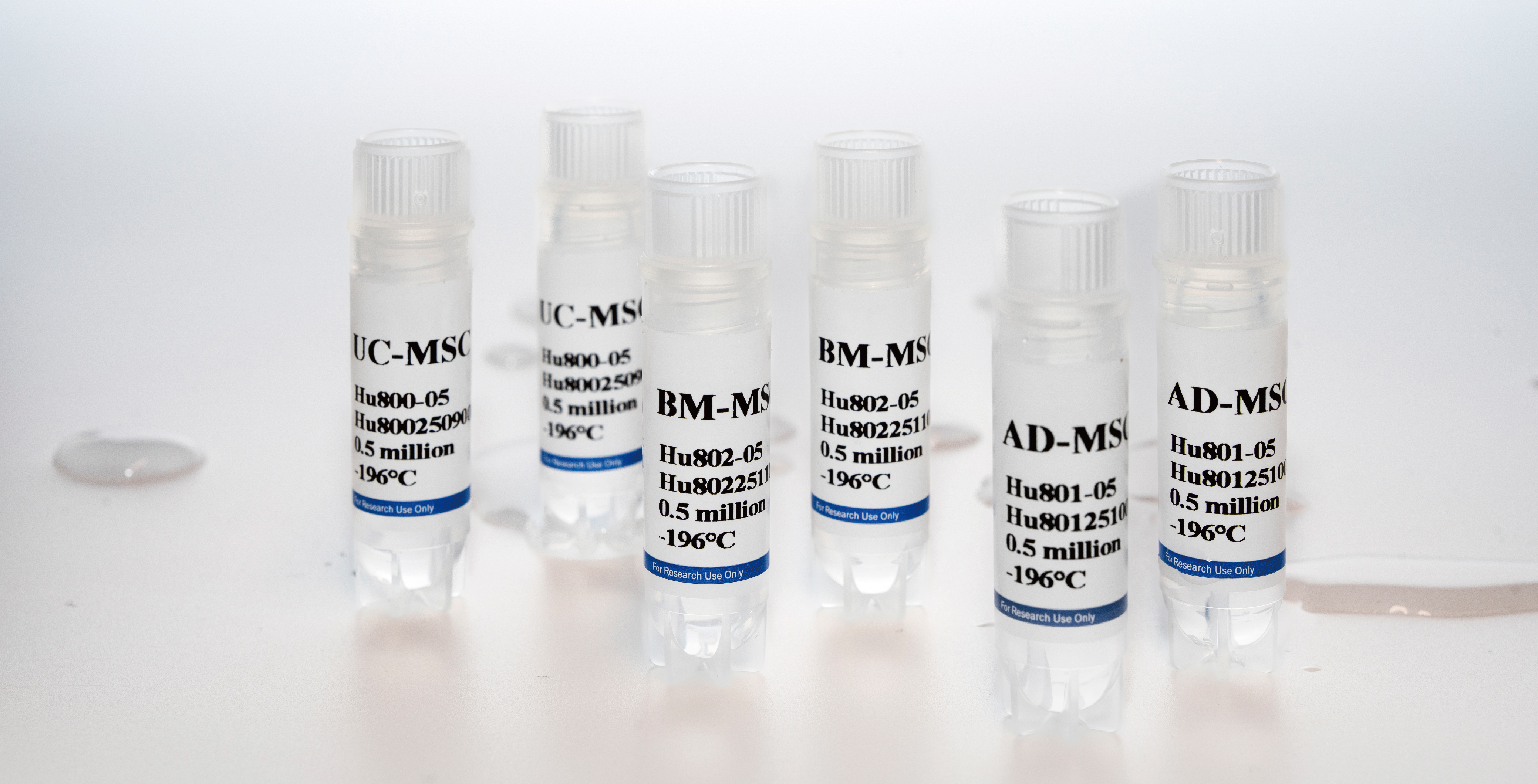 新品上市｜妙顺生物推出人间充质干细胞分离服务