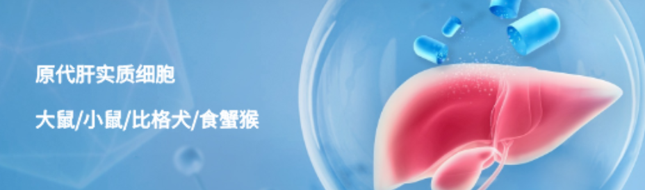 妙顺生物｜中美关税战下，生物医药国产替代的新力量(图6)