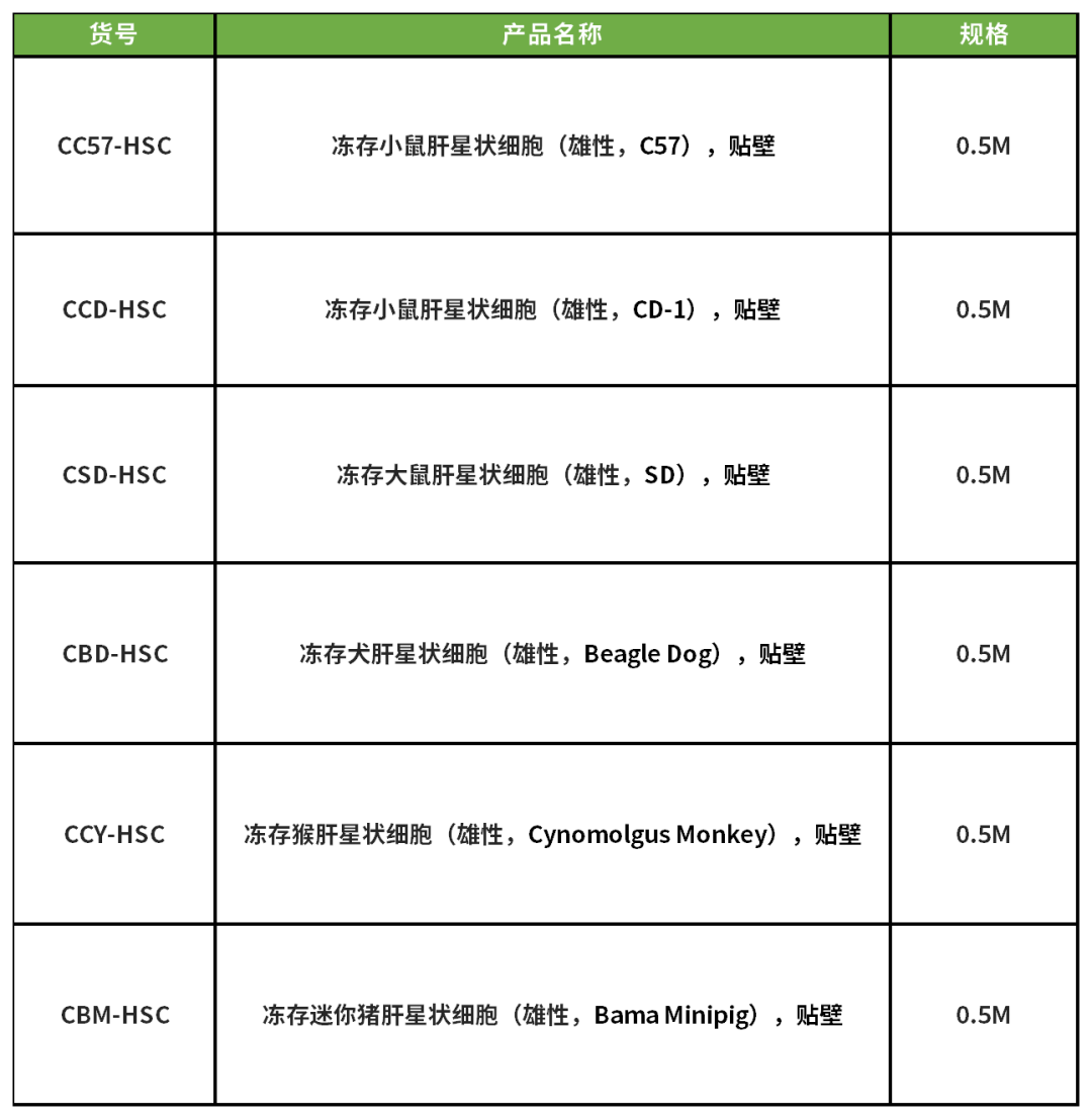 肝纤维化的“幕后黑手”竟是它？收服这只“捣蛋鬼”，你的实验稳了！(图9)