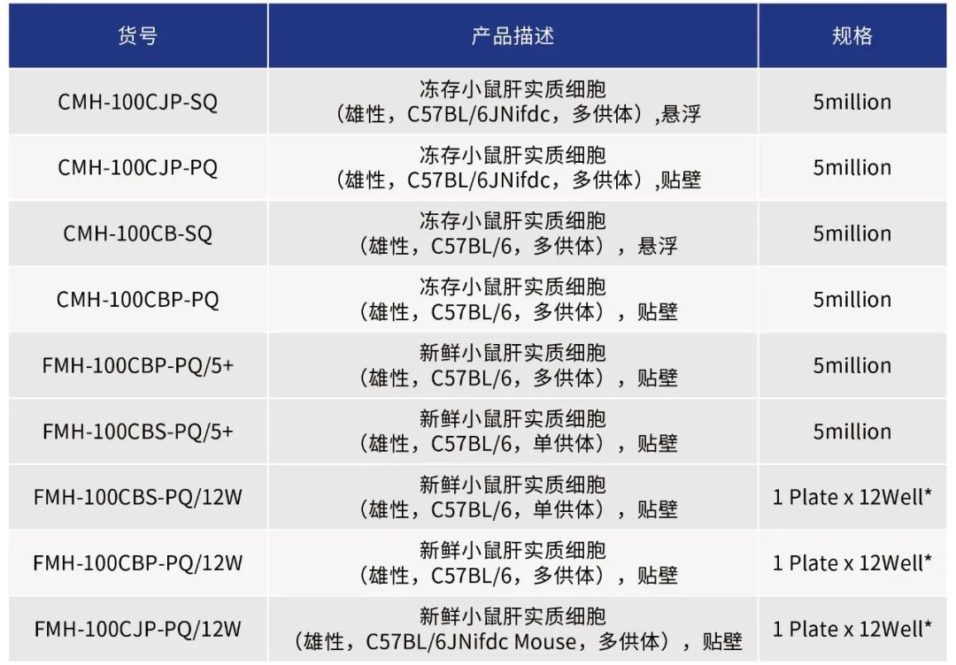 鼠界“双子星”大PK(图8)