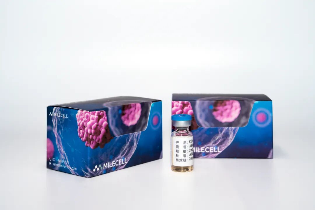 分选更优解 | Milecell MagSep™纳米磁珠全新上市(图5)