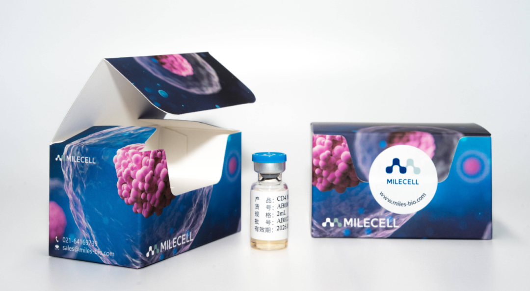 更懂细胞,更优分选系列(一)| Milecell MagSep™ CD4阳选磁珠(图1)