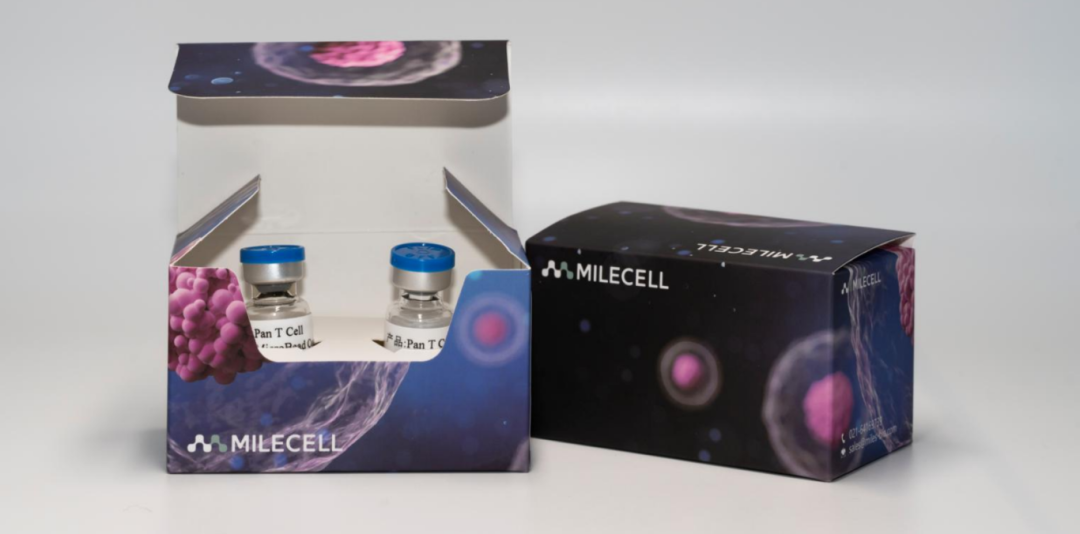 更懂细胞,更优分选系列(四)| Milecell MagSep™ Pan T细胞阴选试剂盒(图1)