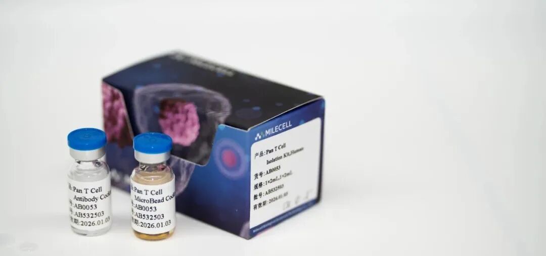 更懂细胞，更优分选系列（五）| Milecell MagSep™ CD8+ T细胞阴选试剂盒(图14)