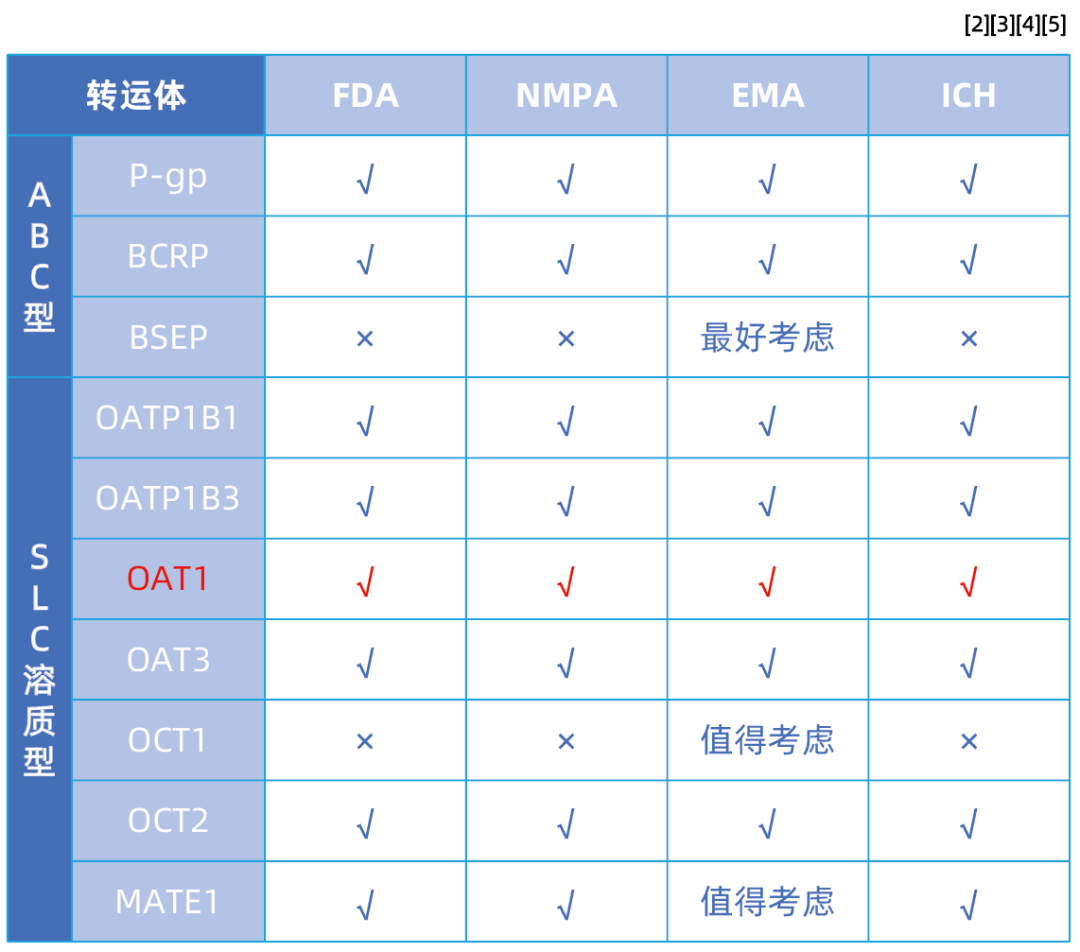 SLC转运体系列（一）即用型“人OAT1转运体细胞”重磅上线！(图2)