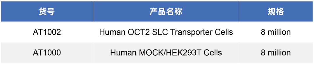SLC转运体系列(二)即用型“人OCT2转运体细胞”全新亮相(图4)